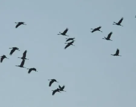 Alter Krug App 16 * Wieck